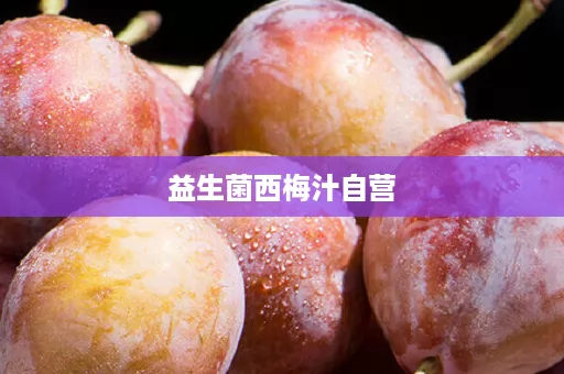 益生菌西梅汁自营