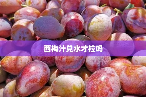 西梅汁兑水才拉吗