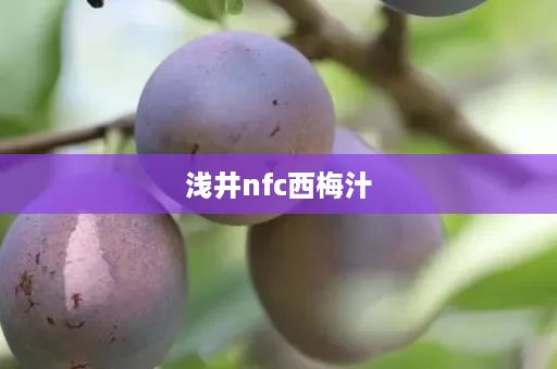 浅井nfc西梅汁