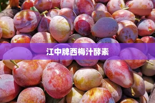 江中牌西梅汁酵素