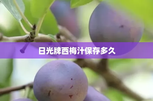 日光牌西梅汁保存多久