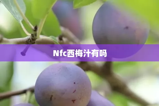 Nfc西梅汁有吗