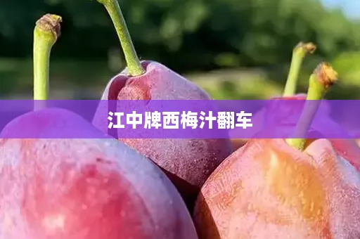 江中牌西梅汁翻车