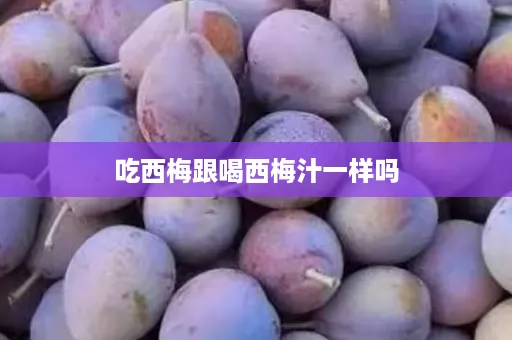 吃西梅跟喝西梅汁一样吗