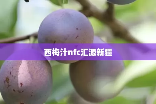西梅汁nfc汇源新疆