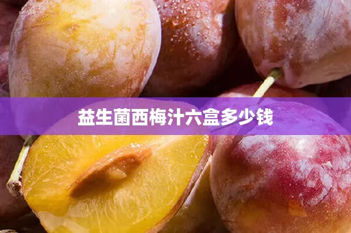 益生菌西梅汁六盒多少钱