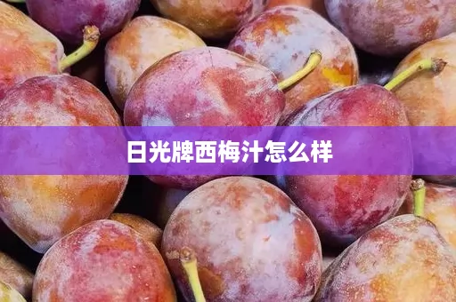 日光牌西梅汁怎么样