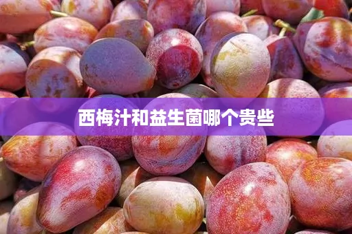 西梅汁和益生菌哪个贵些