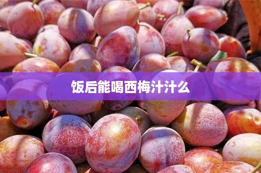 饭后能喝西梅汁汁么