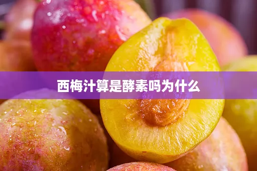 西梅汁算是酵素吗为什么