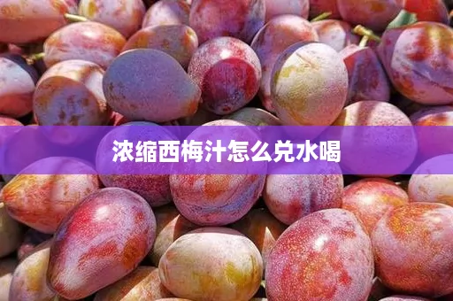 浓缩西梅汁怎么兑水喝
