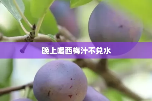晚上喝西梅汁不兑水