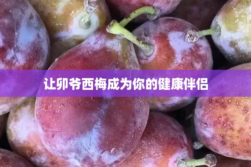 让卯爷西梅成为你的健康伴侣