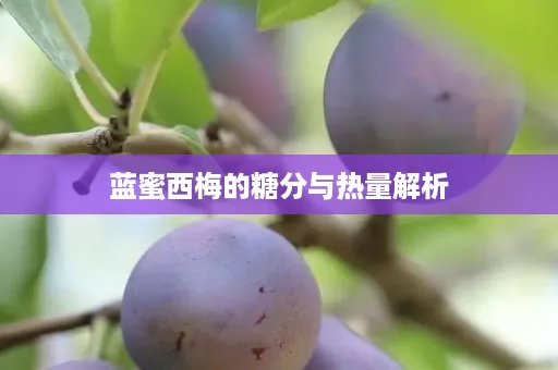 蓝蜜西梅的糖分与热量解析