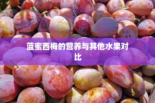 蓝蜜西梅的营养与其他水果对比