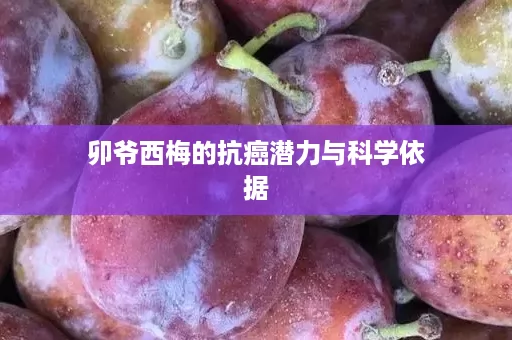 卯爷西梅的抗癌潜力与科学依据