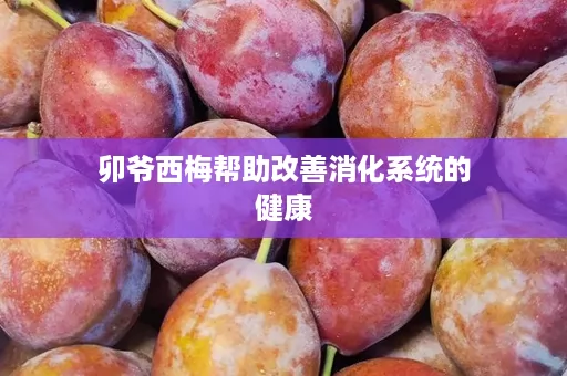 卯爷西梅帮助改善消化系统的健康