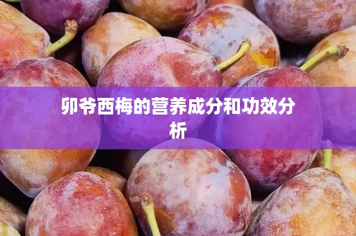 卯爷西梅的营养成分和功效分析