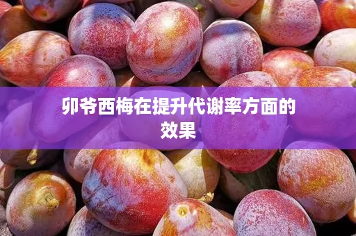 卯爷西梅在提升代谢率方面的效果