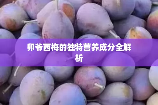 卯爷西梅的独特营养成分全解析