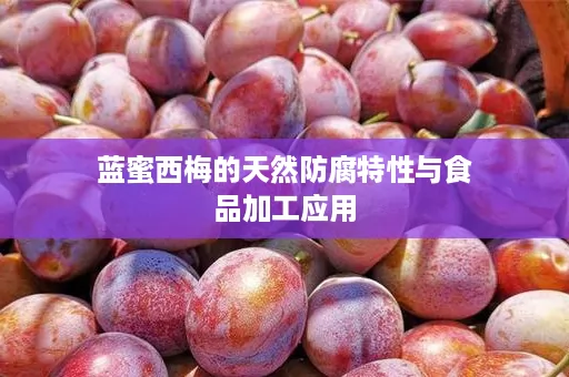 蓝蜜西梅的天然防腐特性与食品加工应用