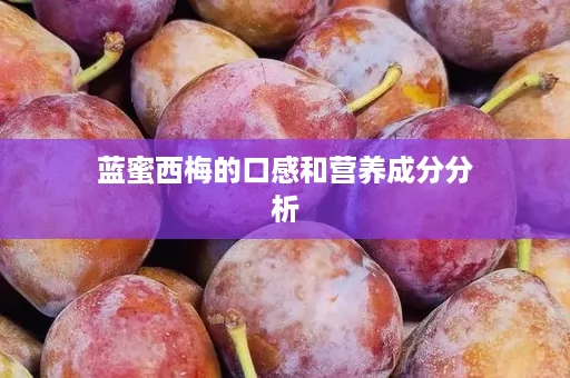 蓝蜜西梅的口感和营养成分分析