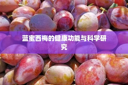 蓝蜜西梅的健康功能与科学研究