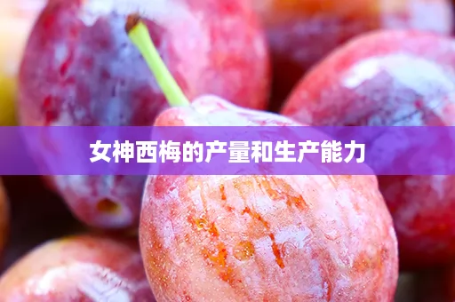 女神西梅的产量和生产能力