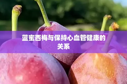 蓝蜜西梅与保持心血管健康的关系