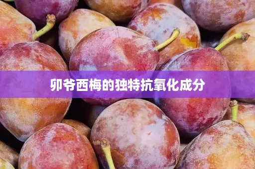 卯爷西梅的独特抗氧化成分