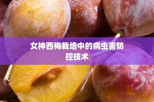 女神西梅栽培中的病虫害防控技术