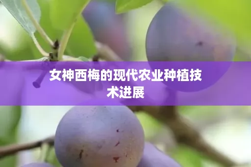 女神西梅的现代农业种植技术进展