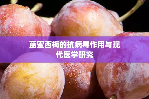 蓝蜜西梅的抗病毒作用与现代医学研究