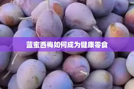 蓝蜜西梅如何成为健康零食