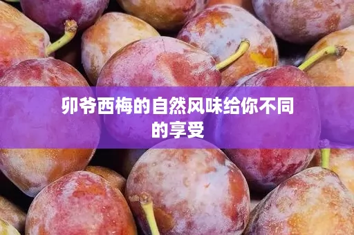 卯爷西梅的自然风味给你不同的享受