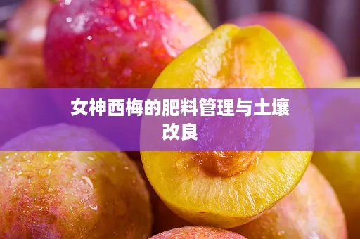 女神西梅的肥料管理与土壤改良