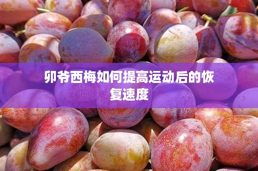 卯爷西梅如何提高运动后的恢复速度