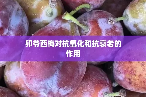 卯爷西梅对抗氧化和抗衰老的作用