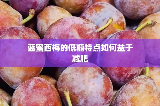 蓝蜜西梅的低糖特点如何益于减肥