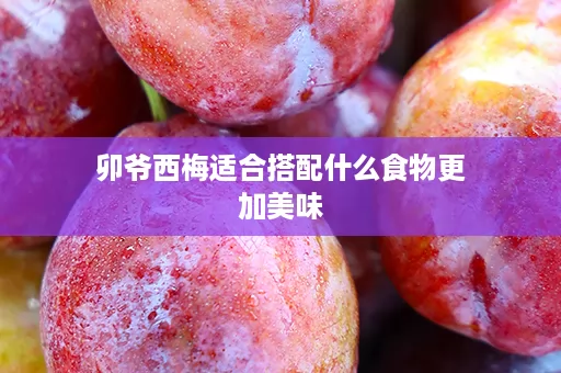 卯爷西梅适合搭配什么食物更加美味