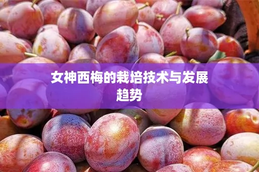 女神西梅的栽培技术与发展趋势