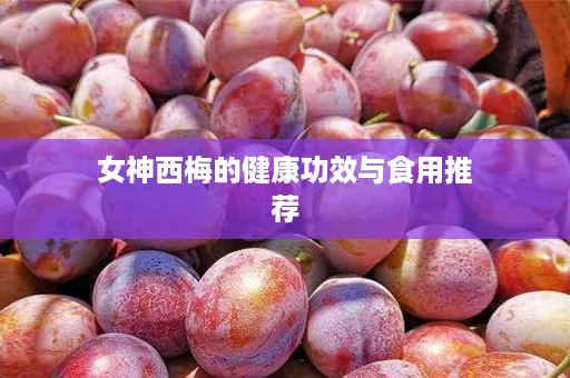 女神西梅的健康功效与食用推荐