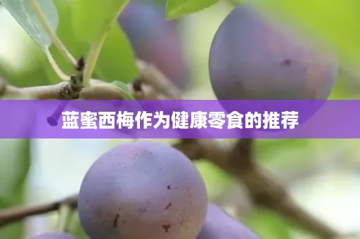 蓝蜜西梅作为健康零食的推荐