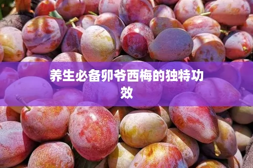 养生必备卯爷西梅的独特功效