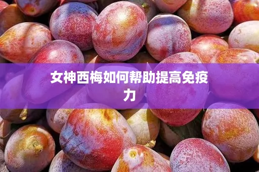 女神西梅如何帮助提高免疫力