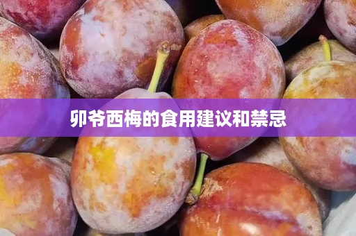 卯爷西梅的食用建议和禁忌