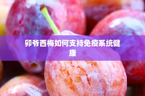 卯爷西梅如何支持免疫系统健康