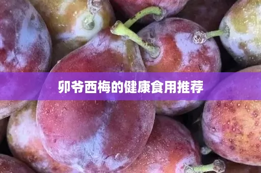 卯爷西梅的健康食用推荐