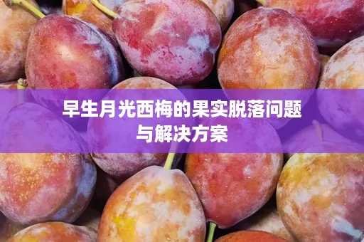 早生月光西梅的果实脱落问题与解决方案