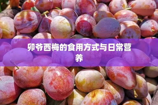 卯爷西梅的食用方式与日常营养